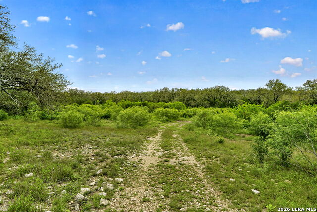 Tbd Fm 1796 Property Photo 38