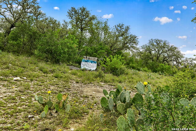 Tbd Fm 1796 Property Photo 39