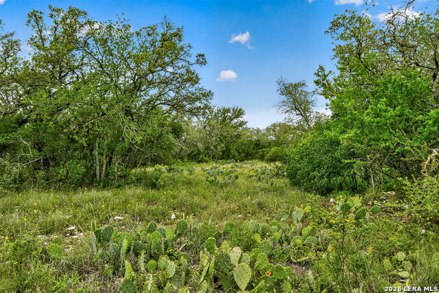 Tbd Fm 1796 Property Photo 40