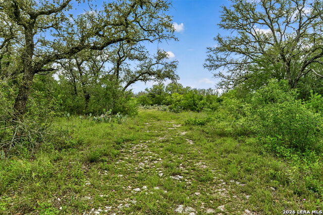 Tbd Fm 1796 Property Photo 41