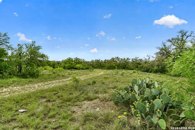 Tbd Fm 1796 Property Photo 42