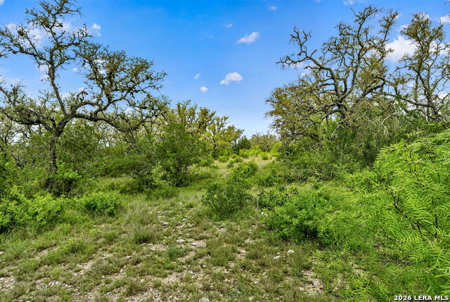 Tbd Fm 1796 Property Photo 43
