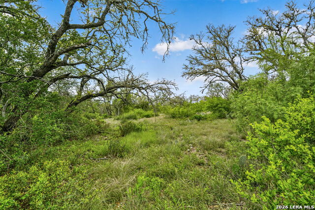 Tbd Fm 1796 Property Photo 44