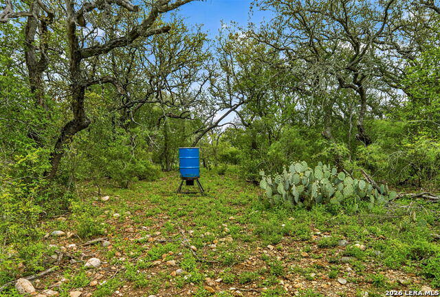 Tbd Fm 1796 Property Photo 45