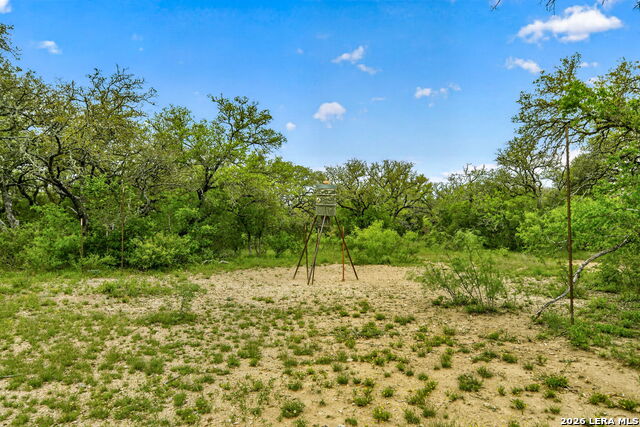 Tbd Fm 1796 Property Photo 46