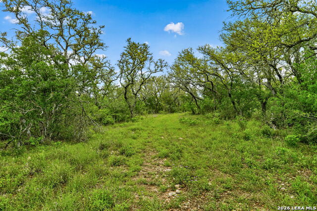 Tbd Fm 1796 Property Photo 47