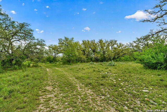 Tbd Fm 1796 Property Photo 48