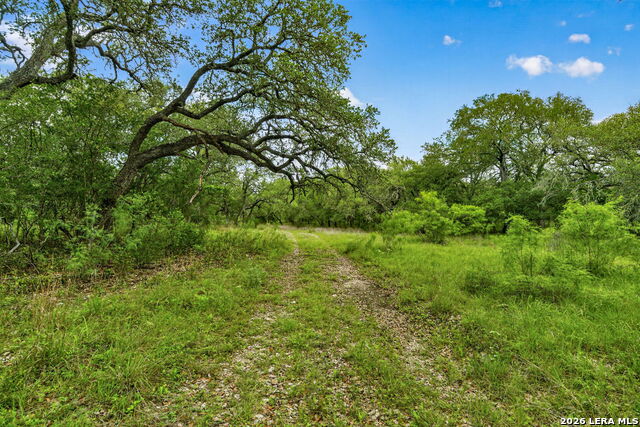 Tbd Fm 1796 Property Photo 49