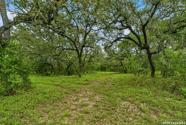 Tbd Fm 1796 Property Photo 50