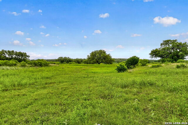 Tbd Fm 1796 Property Photo 51
