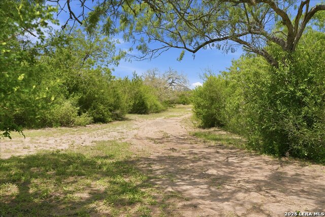 731 County Road 325 Property Photo 41