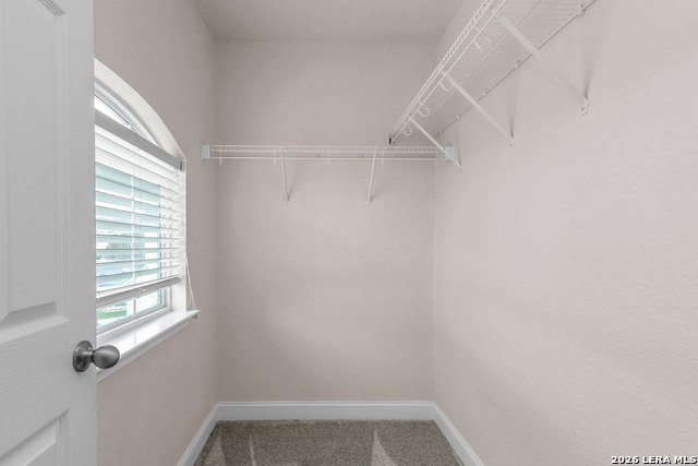 21531 La Pena Property Photo 39