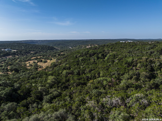 30244 Cloud View Dr Property Photo 48