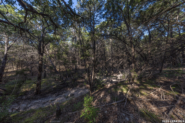 30244 Cloud View Dr Property Photo 60
