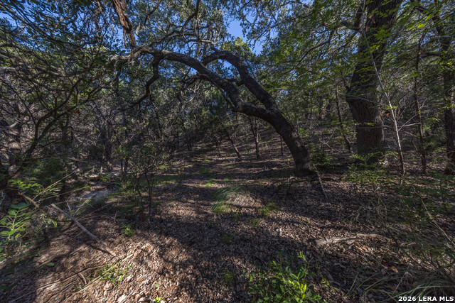 30244 Cloud View Dr Property Photo 61