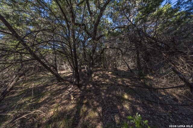 30244 Cloud View Dr Property Photo 62
