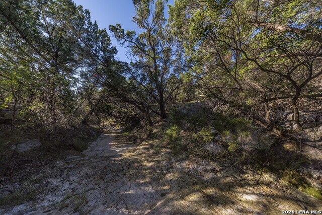 30244 Cloud View Dr Property Photo 63