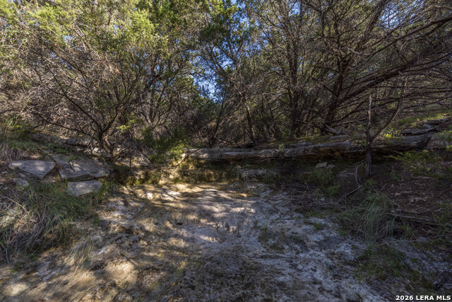 30244 Cloud View Dr Property Photo 64