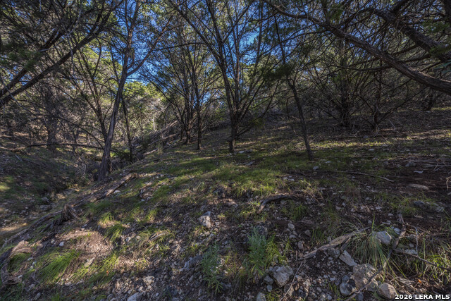 30244 Cloud View Dr Property Photo 65