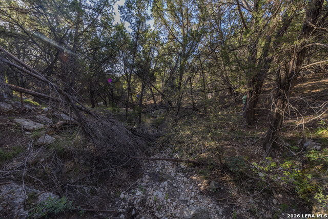 30244 Cloud View Dr Property Photo 66