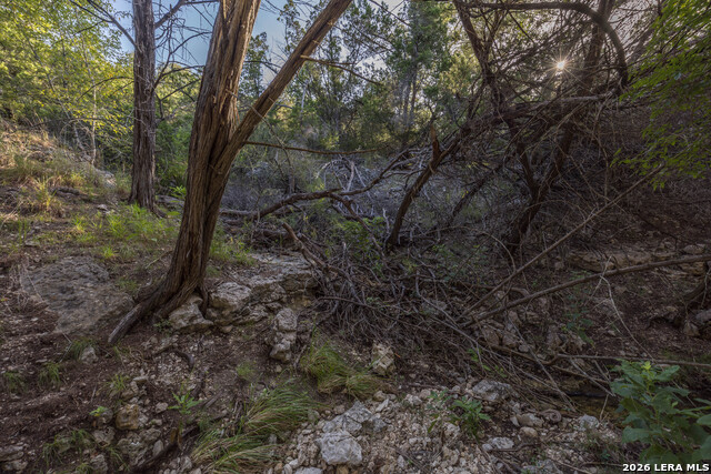 30244 Cloud View Dr Property Photo 69
