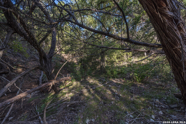 30244 Cloud View Dr Property Photo 70