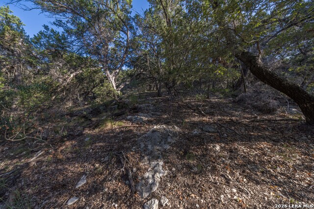 30244 Cloud View Dr Property Photo 71