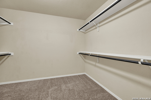 8510 Shooter Cv Property Photo 16