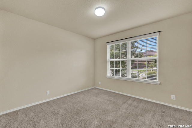 8510 Shooter Cv Property Photo 17