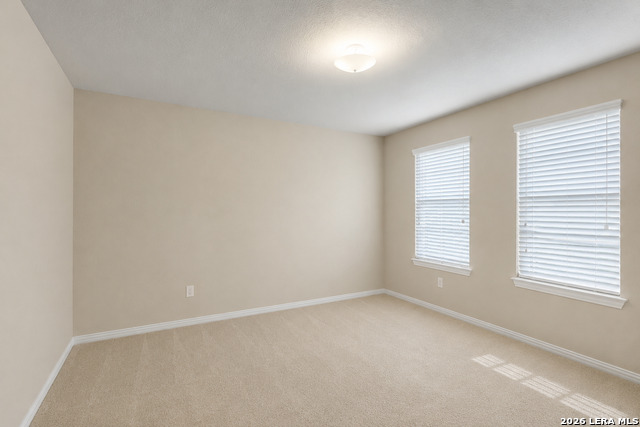 4210 Loring Park Property Photo 19