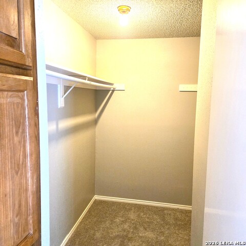 17226 Beacon Woods Property Photo 15