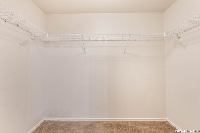 6402 Candleview Ct Property Photo 19