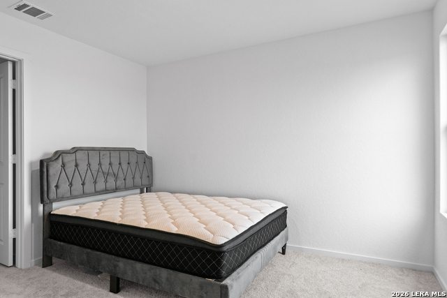 7409 Adam Star Property Photo 13