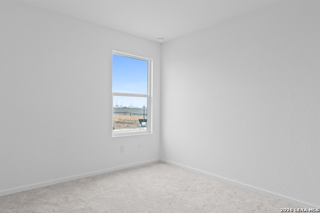 7409 Adam Star Property Photo 15