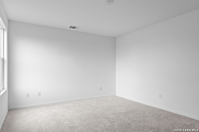 7409 Adam Star Property Photo 17