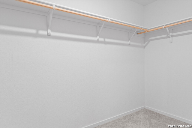 7409 Adam Star Property Photo 18