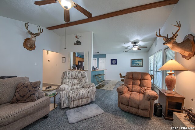 12102 Magnolia Blossom Property Photo 10