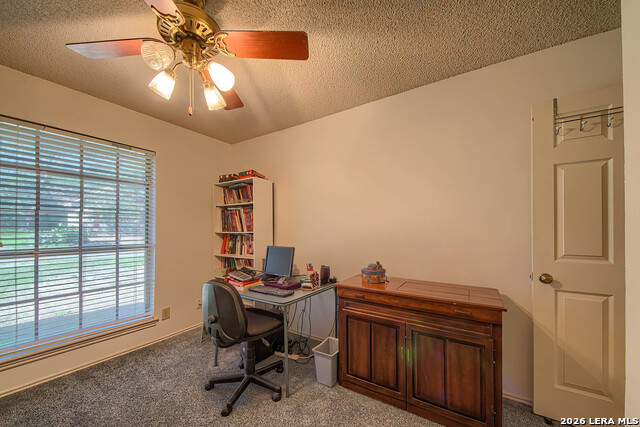 12102 Magnolia Blossom Property Photo 22