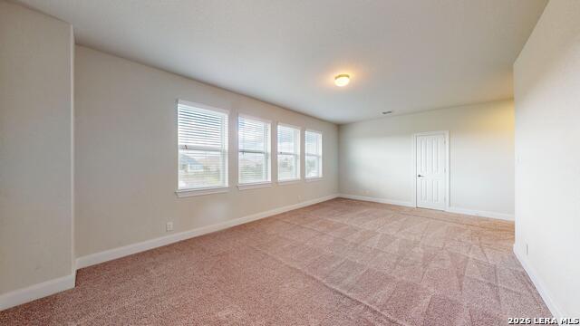 11907 Hollering Pass Property Photo 52