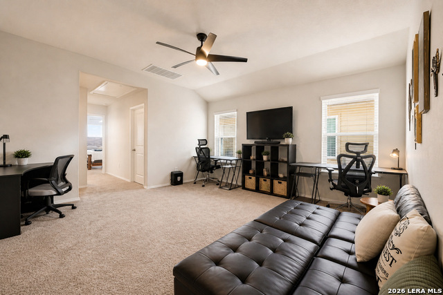 446 Orion Property Photo 21