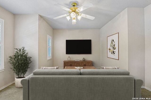 2430 Rogers Loop Property Photo 30