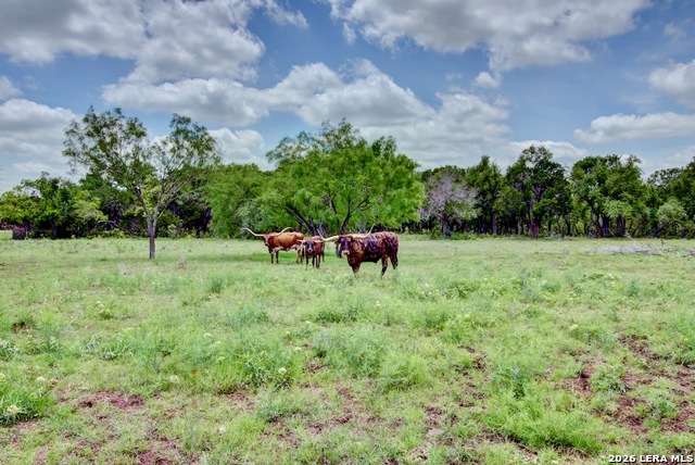 1007 Indigo Run Property Photo 36