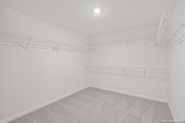 15022 Telfaire Meadow Property Photo 19