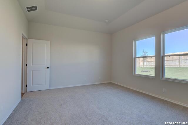 1239 Higgins Cove Property Photo 18