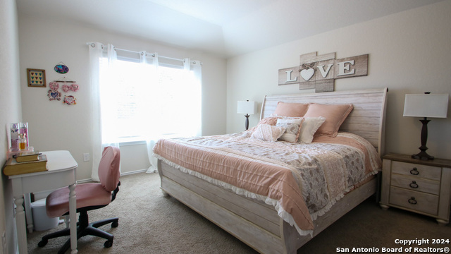 3602 Copper Willow Property Photo 6