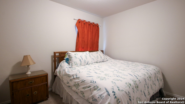 3602 Copper Willow Property Photo 9
