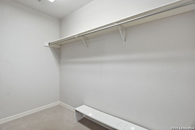 13018 Summer Meadows Property Photo 22