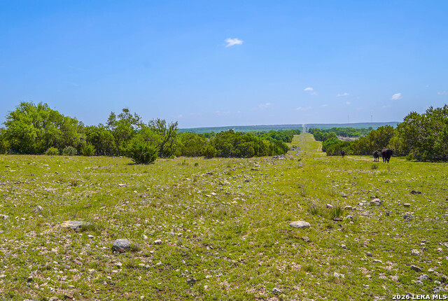 13217 Turner Rd Property Photo 84