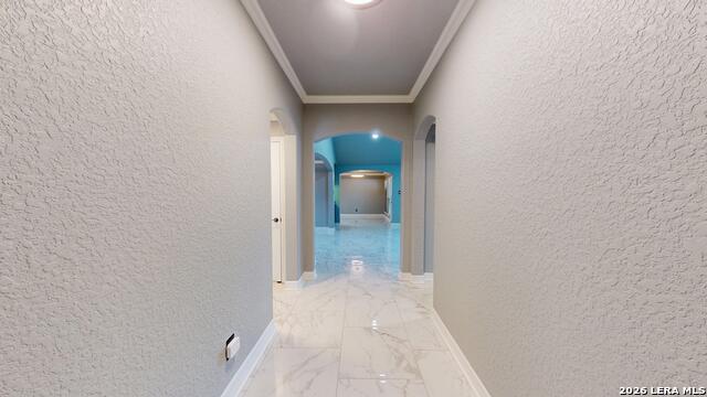 6127 Royal Rdg Property Photo 2