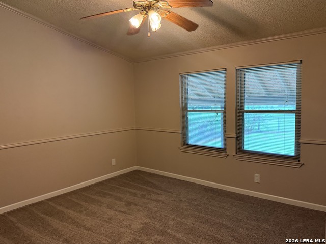 127 Stonegate Property Photo 10